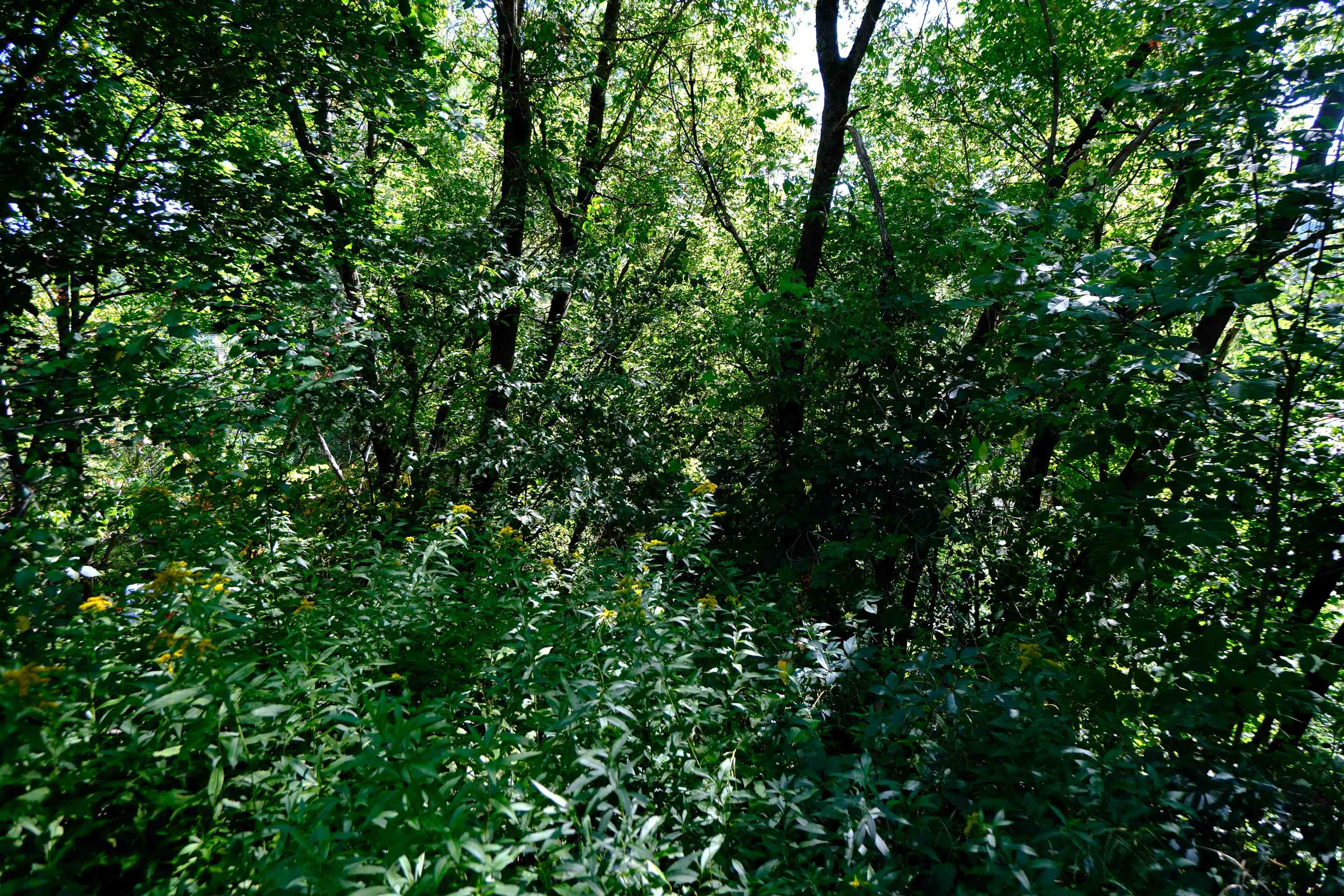 166 Hooker Hill Road St. Johnsbury, VT 05819 - Photo 33 of 52