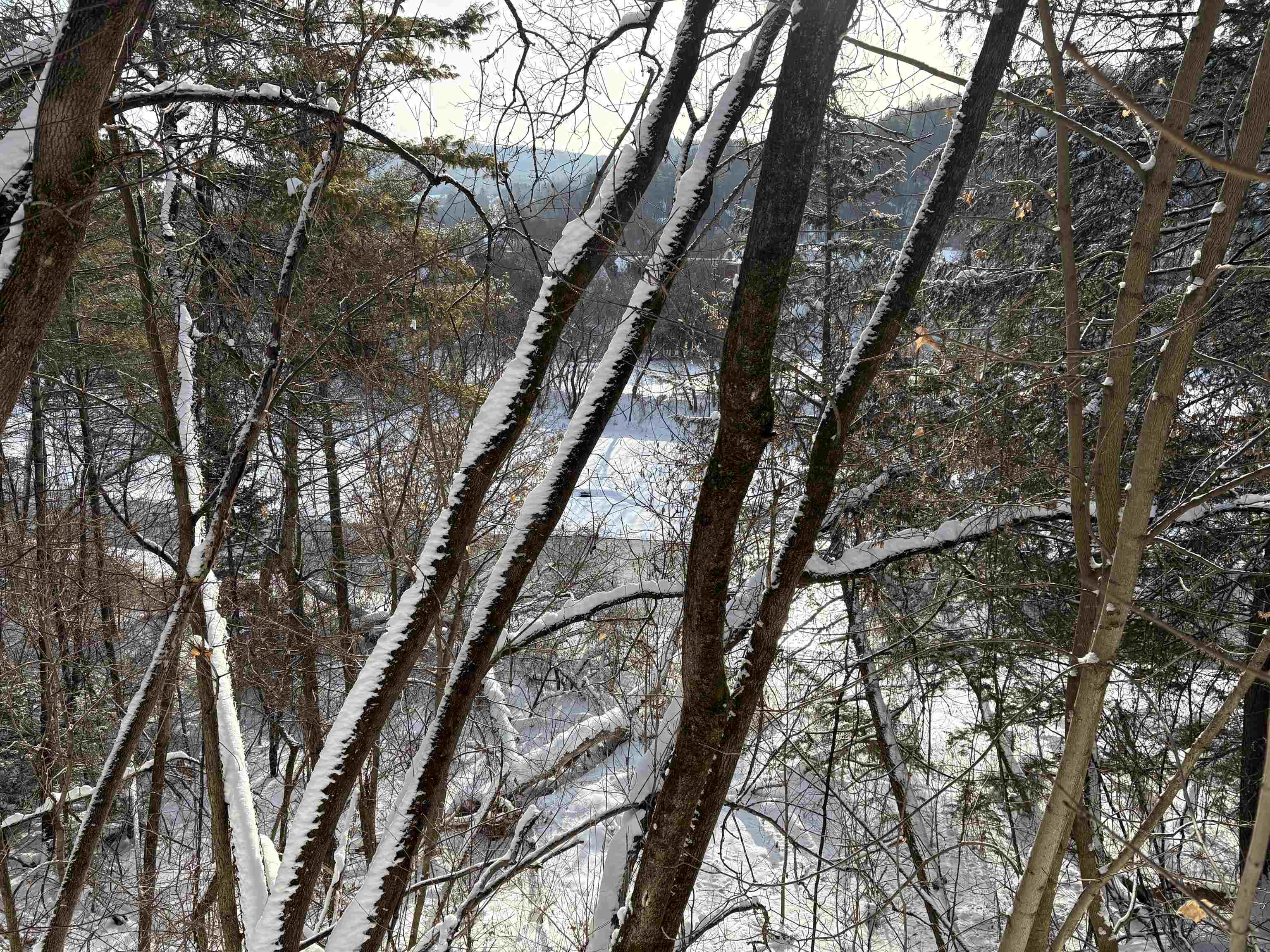 166 Hooker Hill Road St. Johnsbury, VT 05819 - Photo 46 of 52