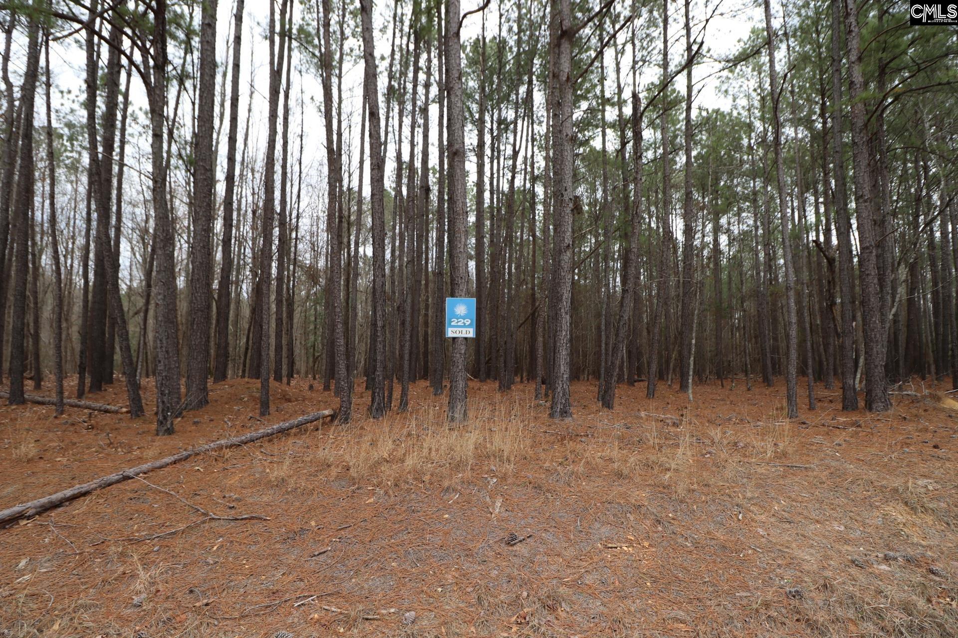 Lot 229 Granny Hill Road Prosperity, SC 29127 - Photo 37 of 61