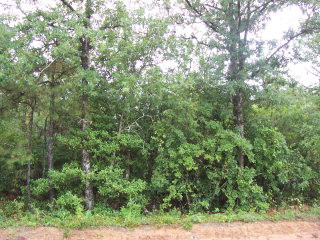 0 Fox Road Aiken, SC 29805 - Photo 1 of 1