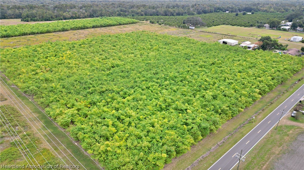1015 Mt Pisgah Road Fort Meade, FL 33841 - Photo 4 of 18