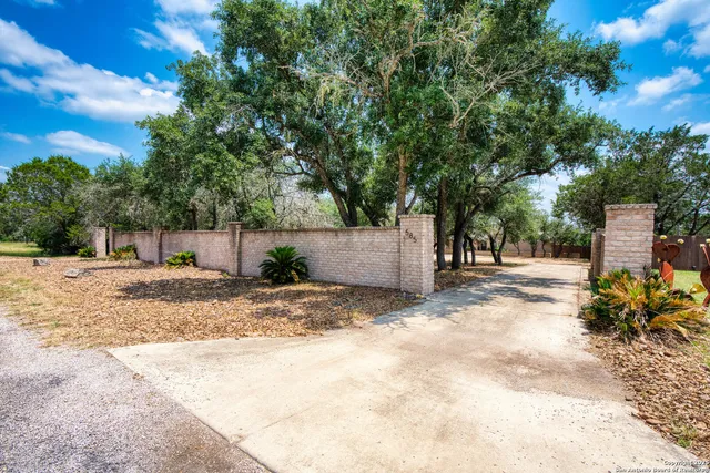 a view of a yard with plants and trees
