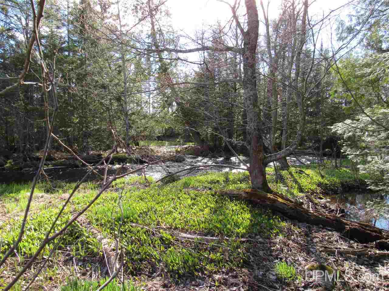 M28 (west) Lanse, MI 49946 - Photo 1 of 30