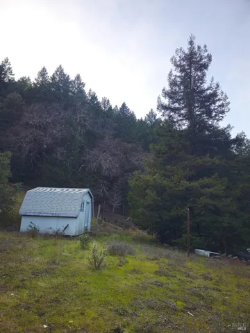 a small pool with trees in the background
