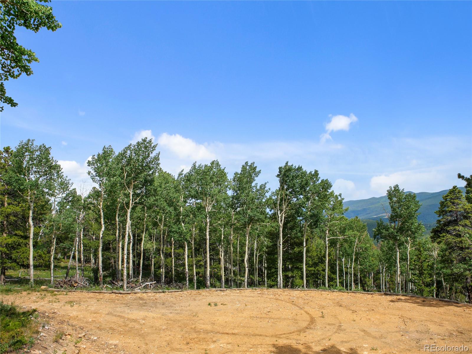 3665 Beaver Brook Canyon Road Evergreen, CO 80439 - Photo 11 of 30 a view of a yard