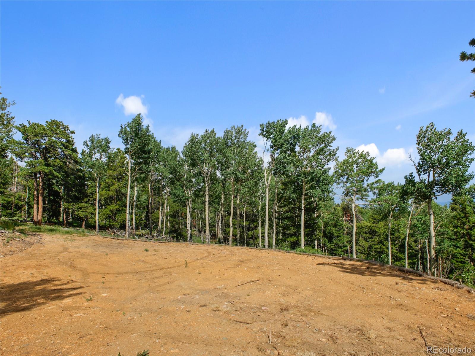 3665 Beaver Brook Canyon Road Evergreen, CO 80439 - Photo 12 of 30 a view of outdoor space with trees