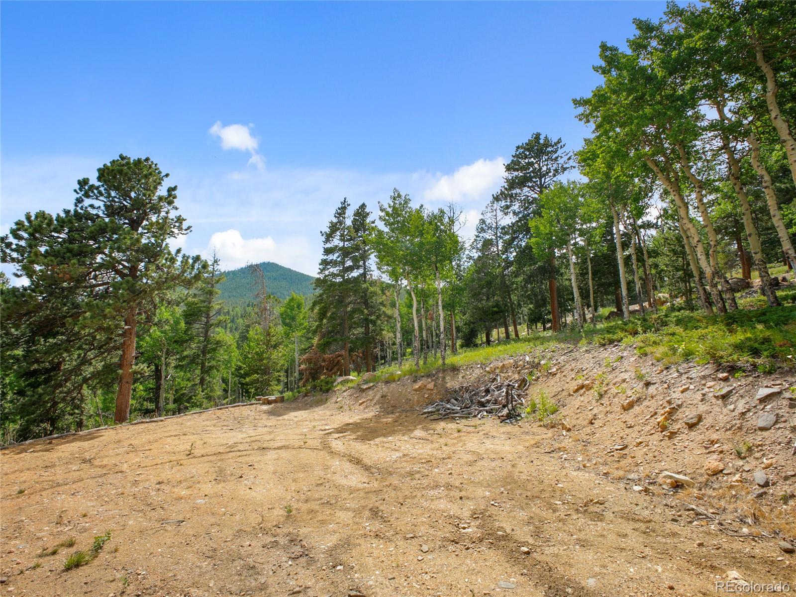 3665 Beaver Brook Canyon Road Evergreen, CO 80439 - Photo 13 of 30 a view of a yard with a tree