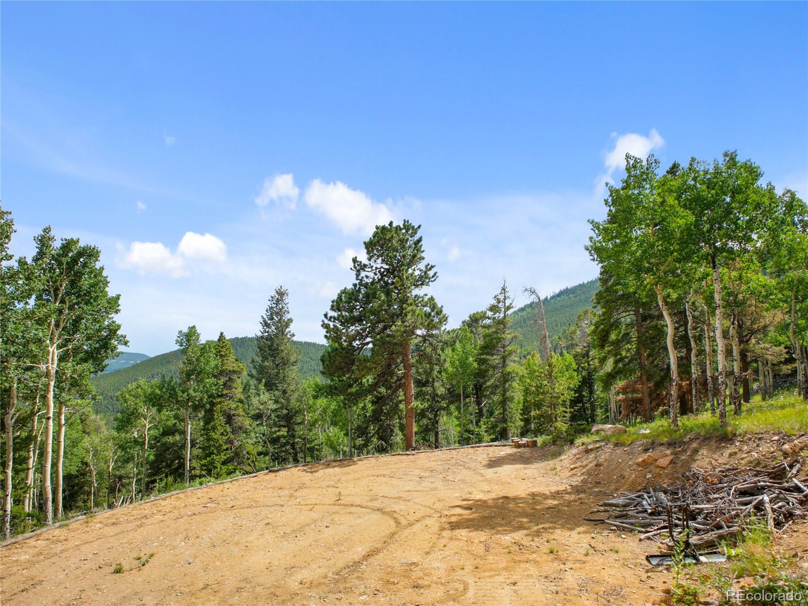 3665 Beaver Brook Canyon Road Evergreen, CO 80439 - Photo 14 of 30 a view of a yard with a tree
