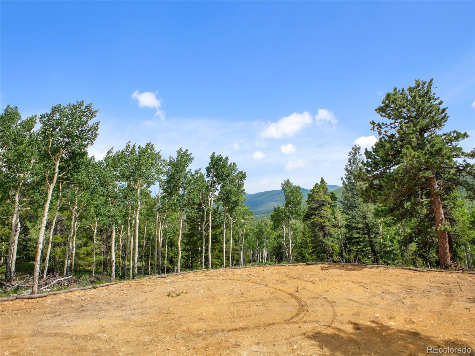 3665 Beaver Brook Canyon Road Evergreen, CO 80439 - Photo 15 of 30 a outdoor space with trees in the background