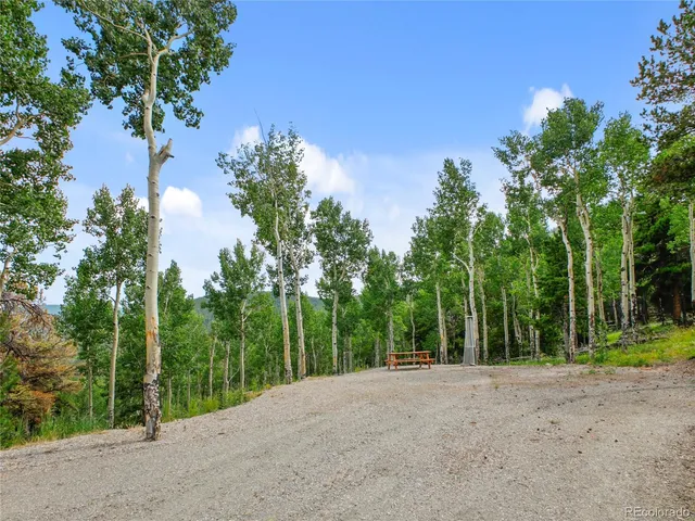 a view of a road with plants and trees