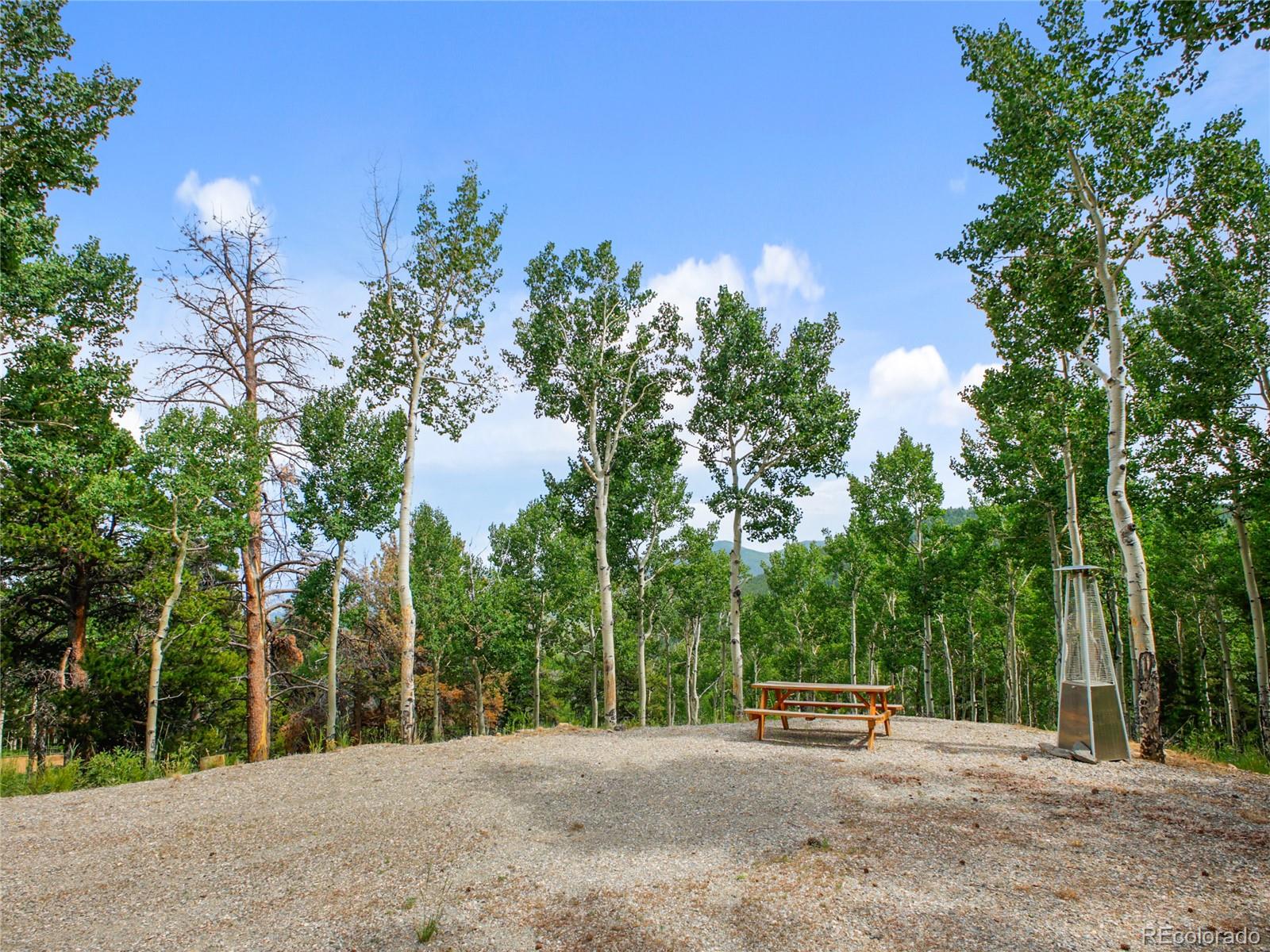 3665 Beaver Brook Canyon Road Evergreen, CO 80439 - Photo 17 of 30 a view of road with large trees