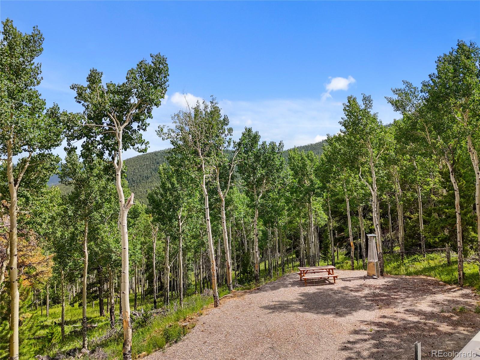 3665 Beaver Brook Canyon Road Evergreen, CO 80439 - Photo 18 of 30 a backyard of a house with lots of green space