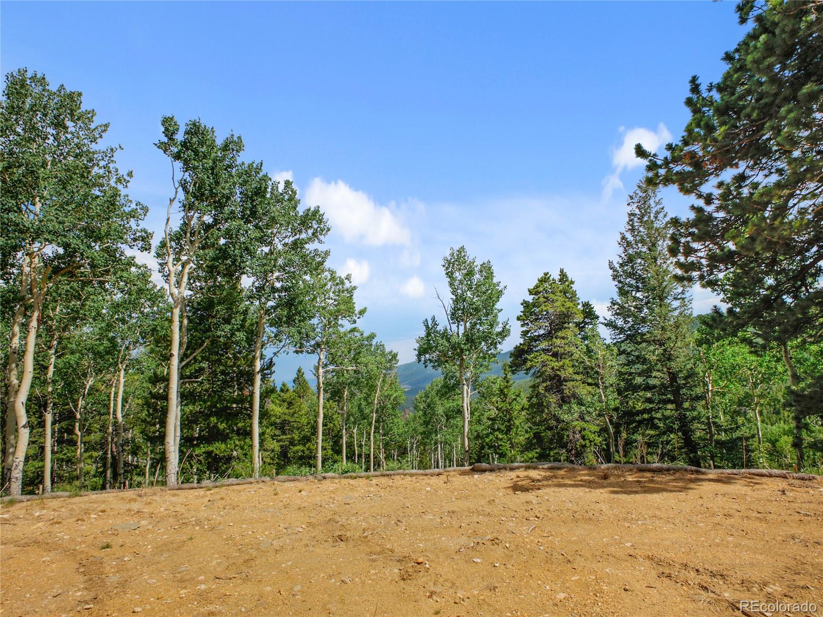 3665 Beaver Brook Canyon Road Evergreen, CO 80439 - Photo 19 of 30 a view of outdoor space and trees