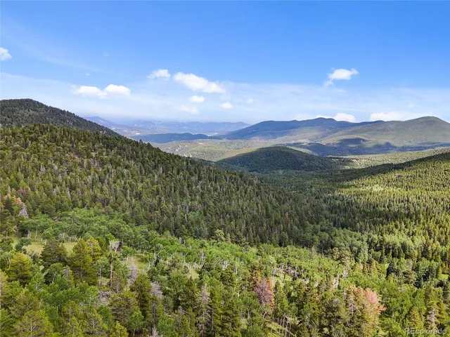 a view of a lush green forest with mountains in the background