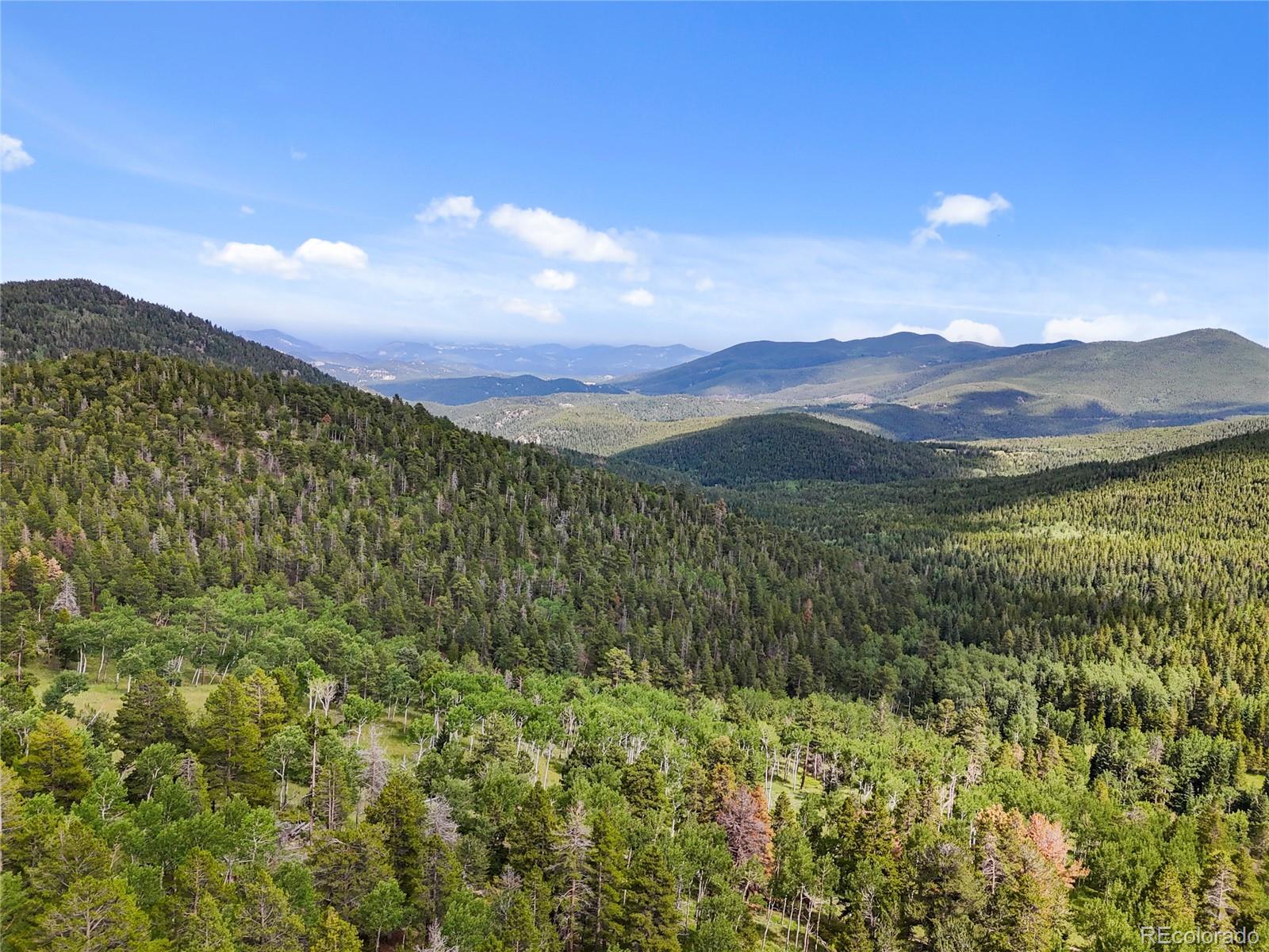 3665 Beaver Brook Canyon Road Evergreen, CO 80439 - Photo 2 of 30 a view of a lush green forest with mountains in the background