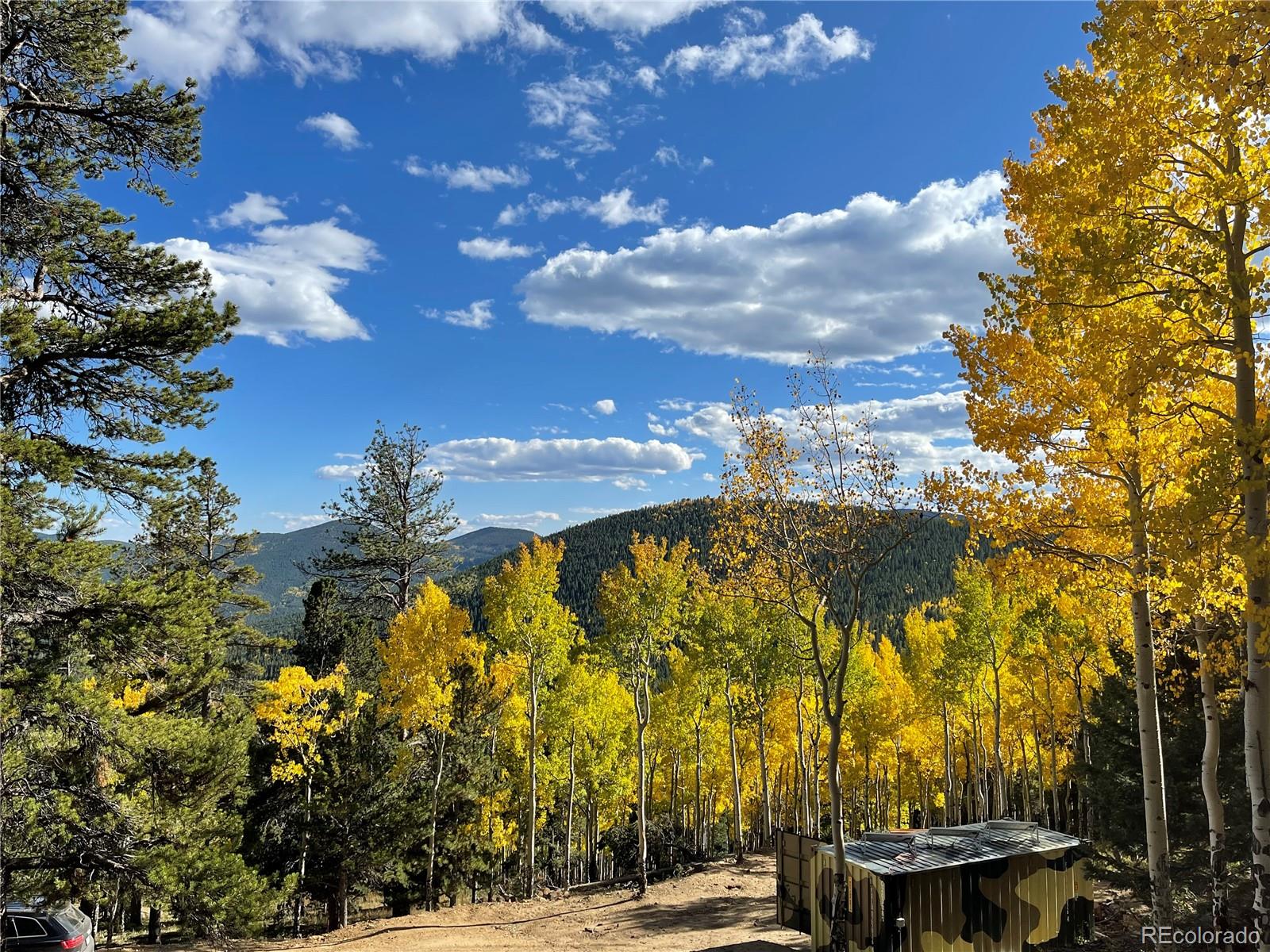 3665 Beaver Brook Canyon Road Evergreen, CO 80439 - Photo 21 of 30 a view of a yard with plants