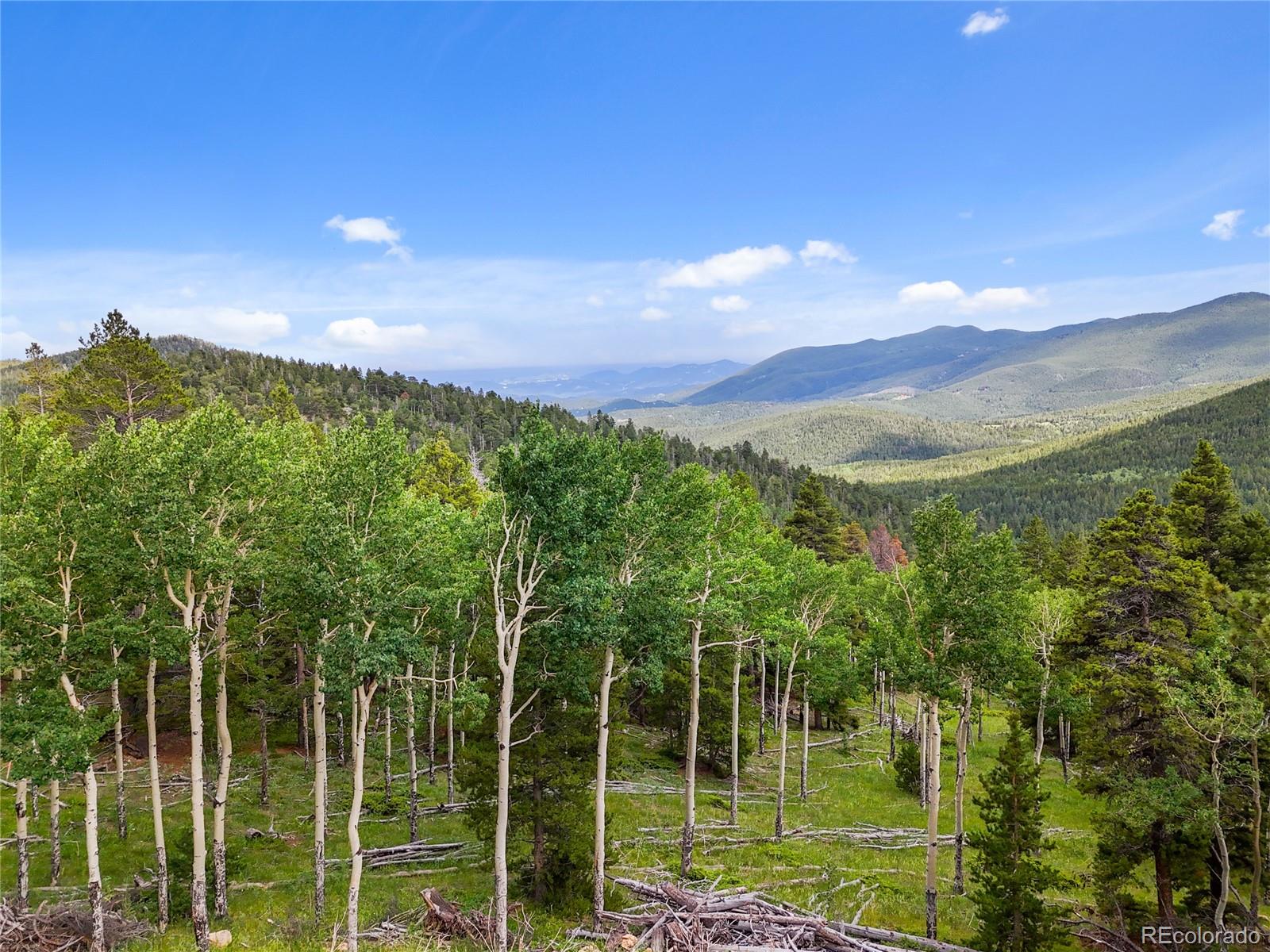3665 Beaver Brook Canyon Road Evergreen, CO 80439 - Photo 27 of 30 a view of a city with lush green forest