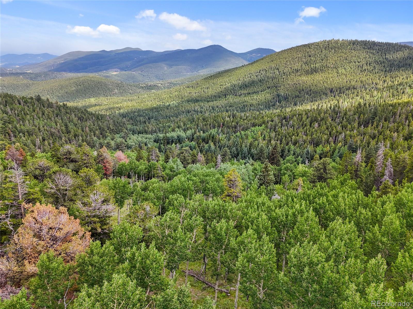 3665 Beaver Brook Canyon Road Evergreen, CO 80439 - Photo 28 of 30 a view of a lush green hillside and a houses