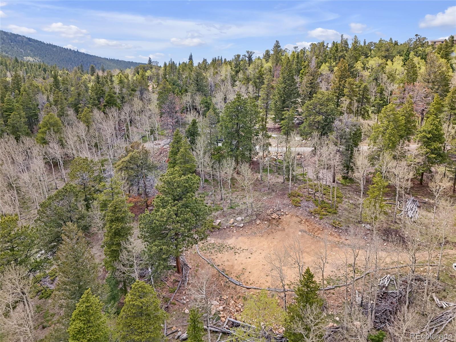 3665 Beaver Brook Canyon Road Evergreen, CO 80439 - Photo 7 of 30 a view of a city with lush green forest