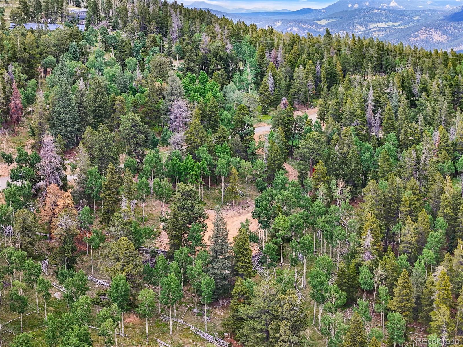 3665 Beaver Brook Canyon Road Evergreen, CO 80439 - Photo 8 of 30 a view of a forest with a street