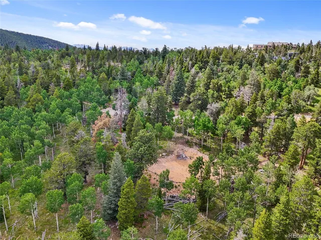 a view of a city with lush green forest