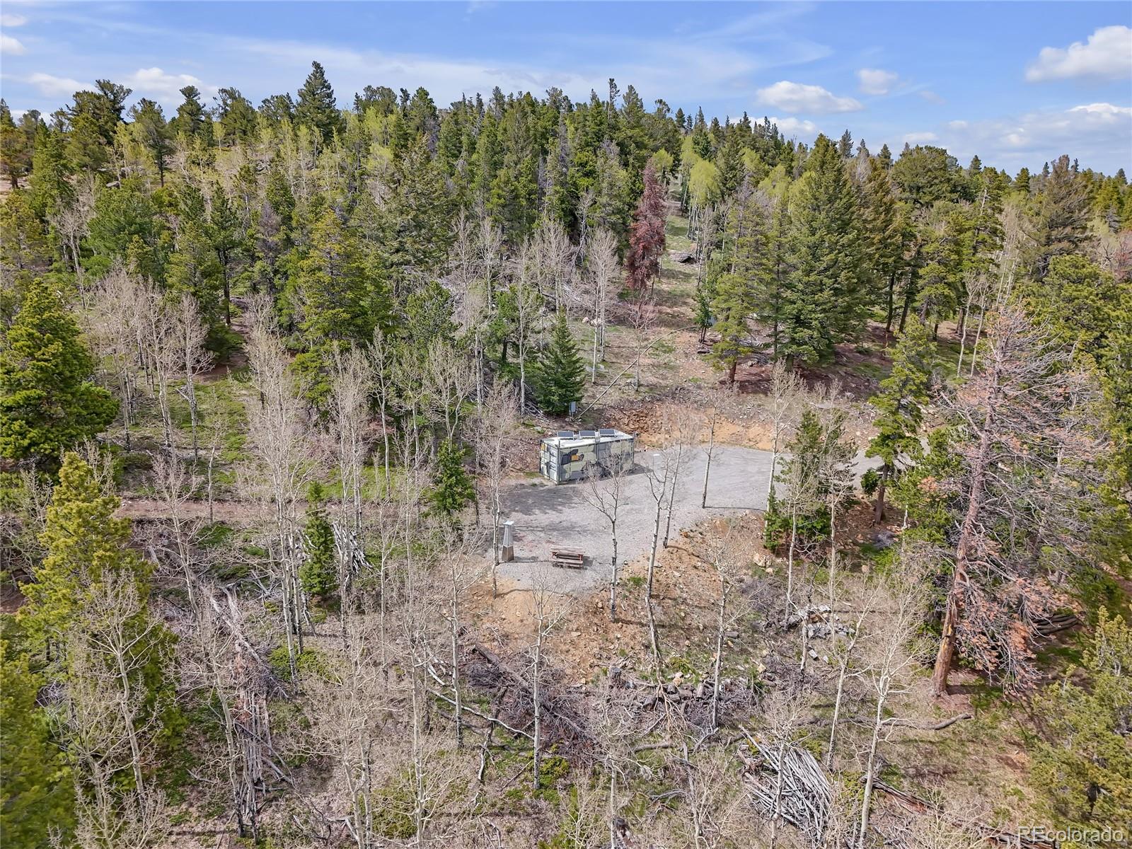 3665 Beaver Brook Canyon Road Evergreen, CO 80439 - Photo 10 of 30 a view of a city with lush green forest