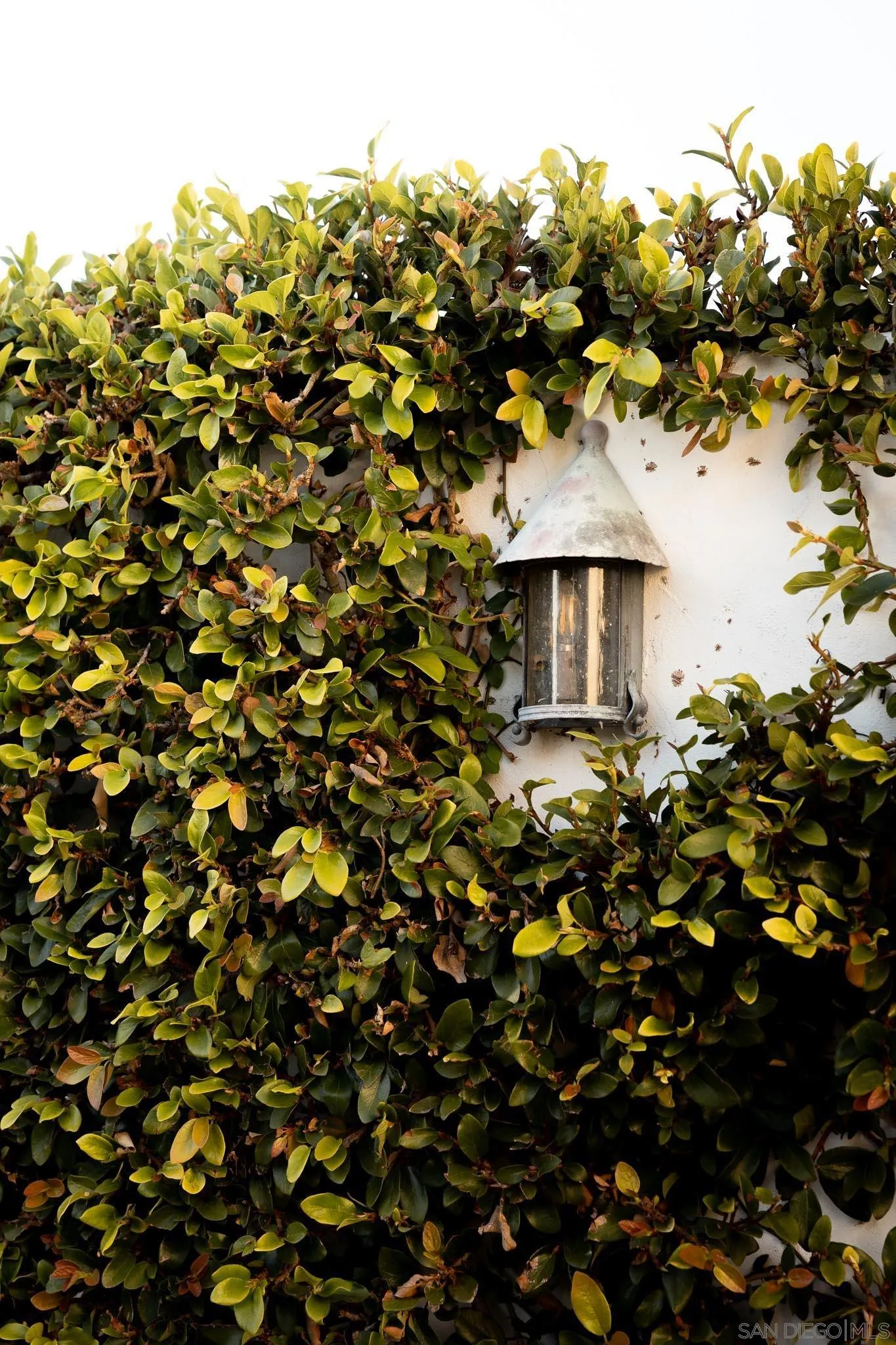 1004 Devonshire Drive San Diego, CA 92107 - Photo 41 of 54