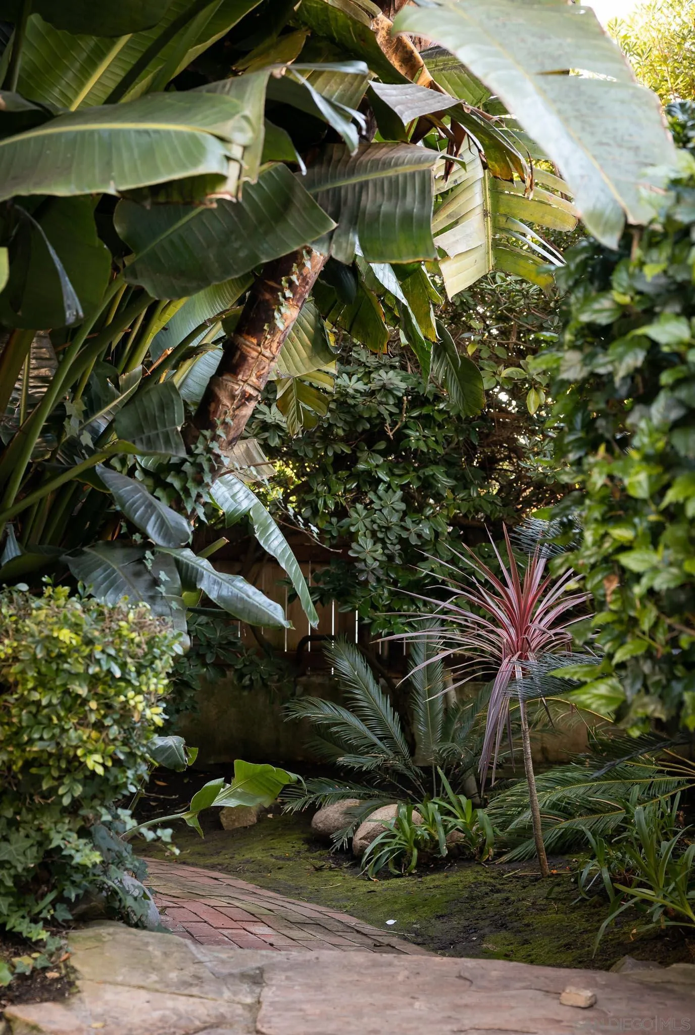 1004 Devonshire Drive San Diego, CA 92107 - Photo 45 of 54 a backyard of a house