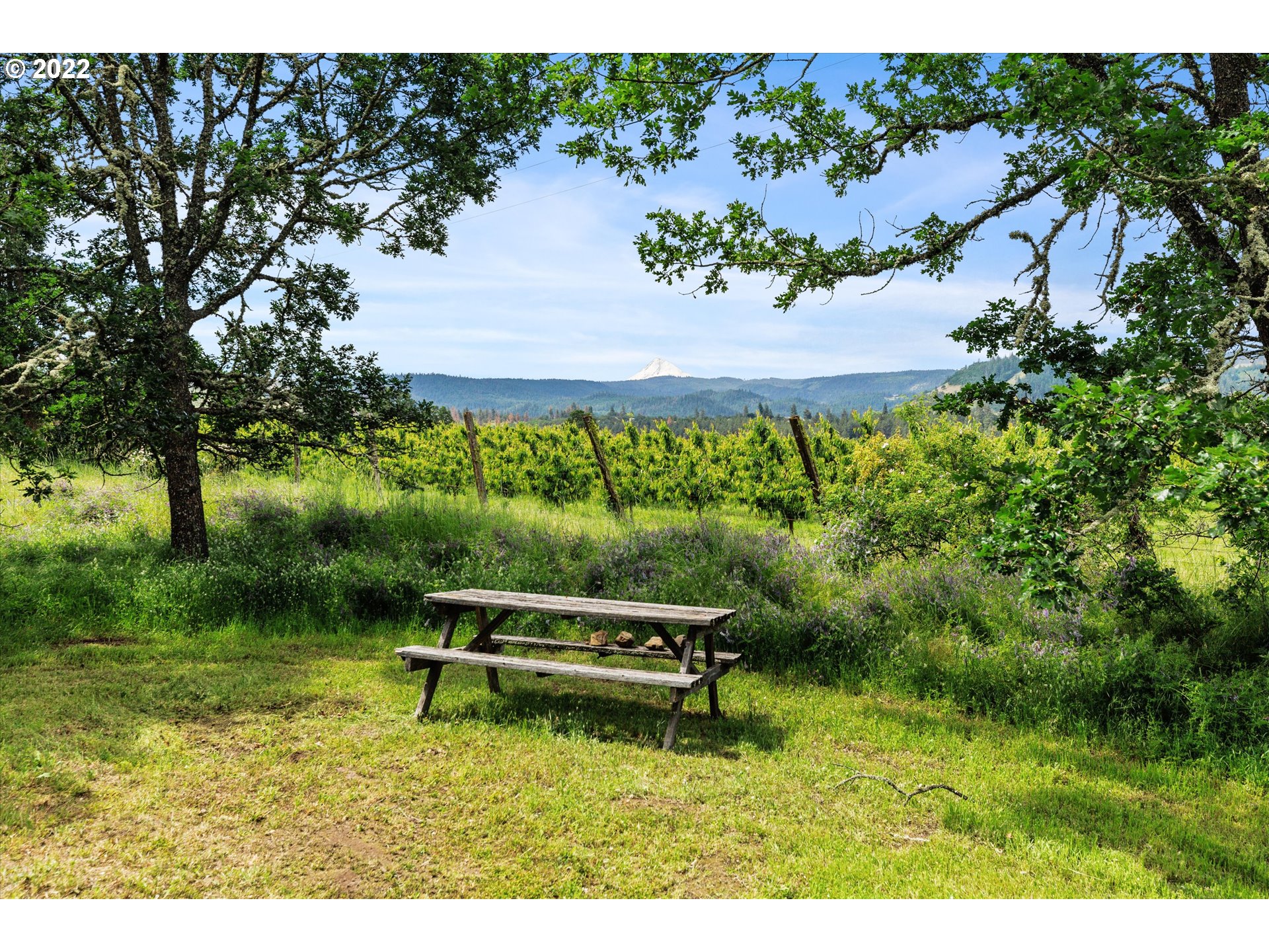 1501 Morgensen Road Mosier, OR 97040 - Photo 29 of 32 Gallery Image 29