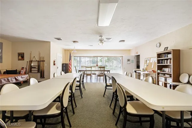 a view of a backyard with plants and palm tree