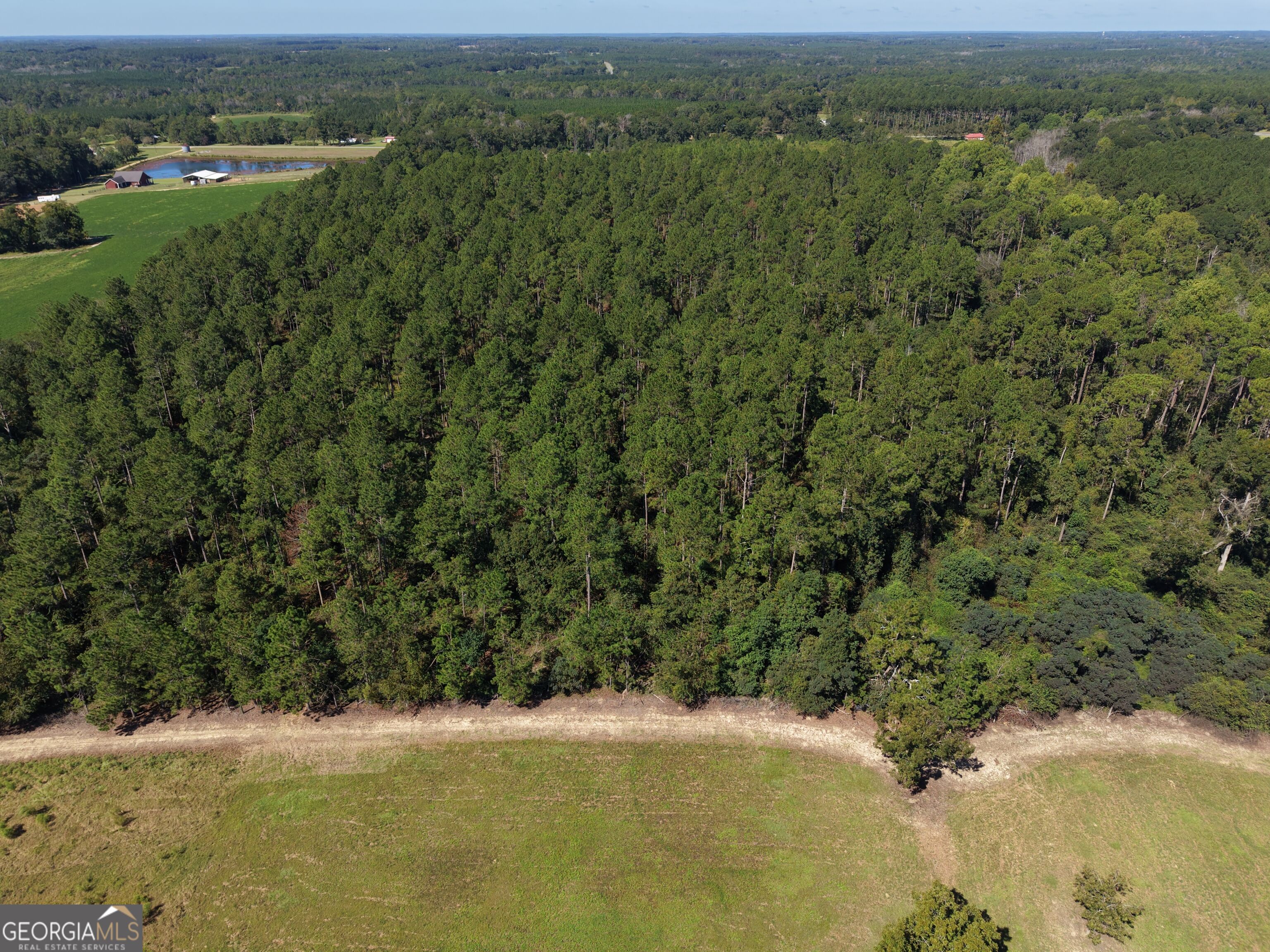 0 Cleon Shuman Road Collins, GA 30421 - Photo 2 of 8 Gallery Image 2