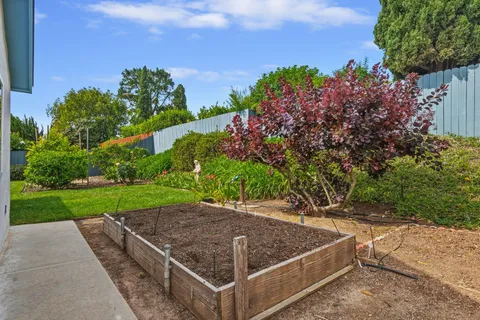a view of a backyard