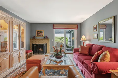 a living room with furniture or couch and a fireplace