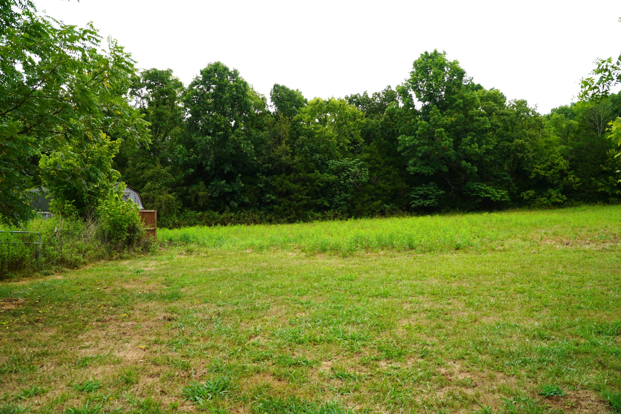 237 Red Oak Road Petersburg, TN 37144 - Photo 37 of 57 a view of a field with a trees in the background