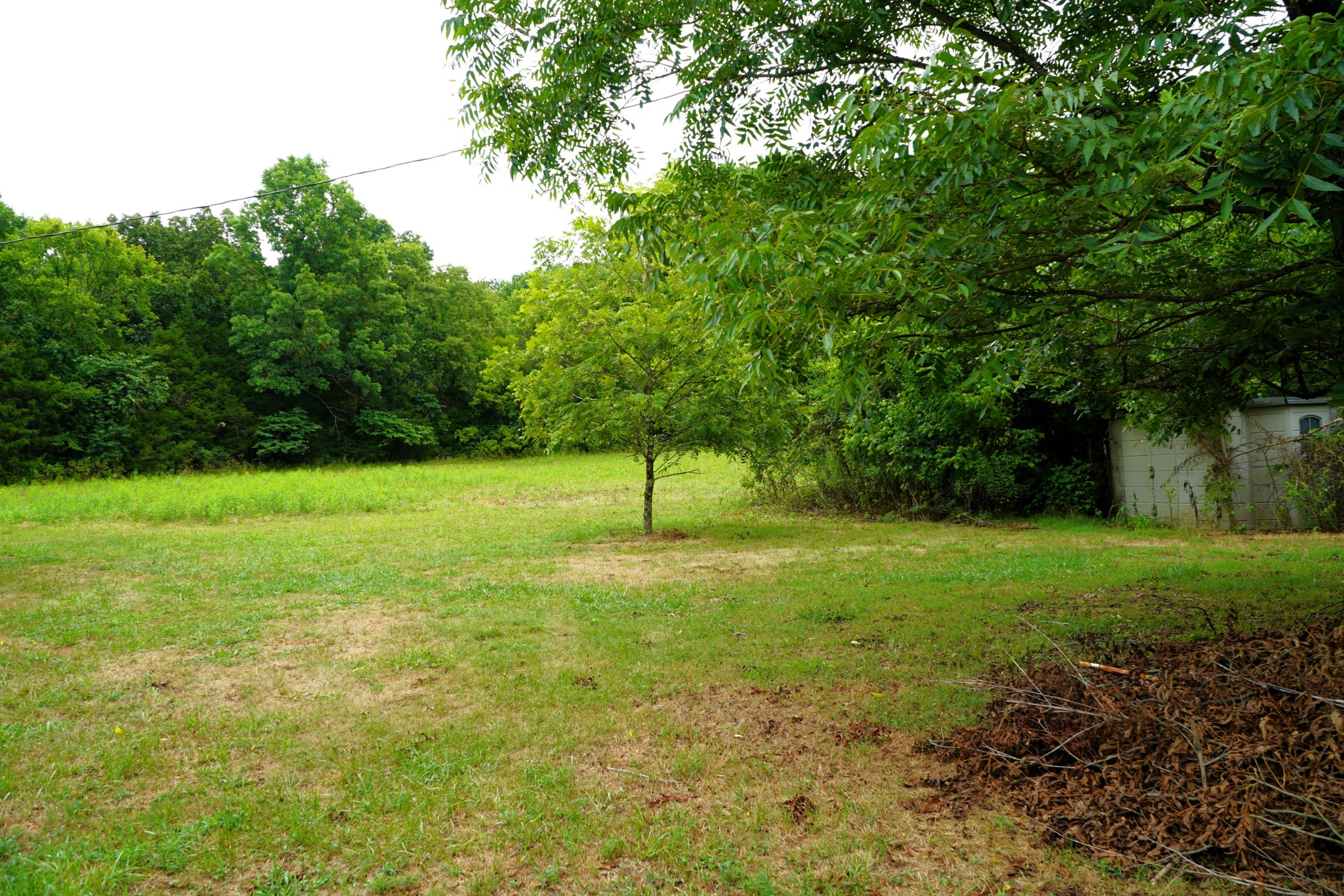 237 Red Oak Road Petersburg, TN 37144 - Photo 40 of 57 a view of a green field with a tree