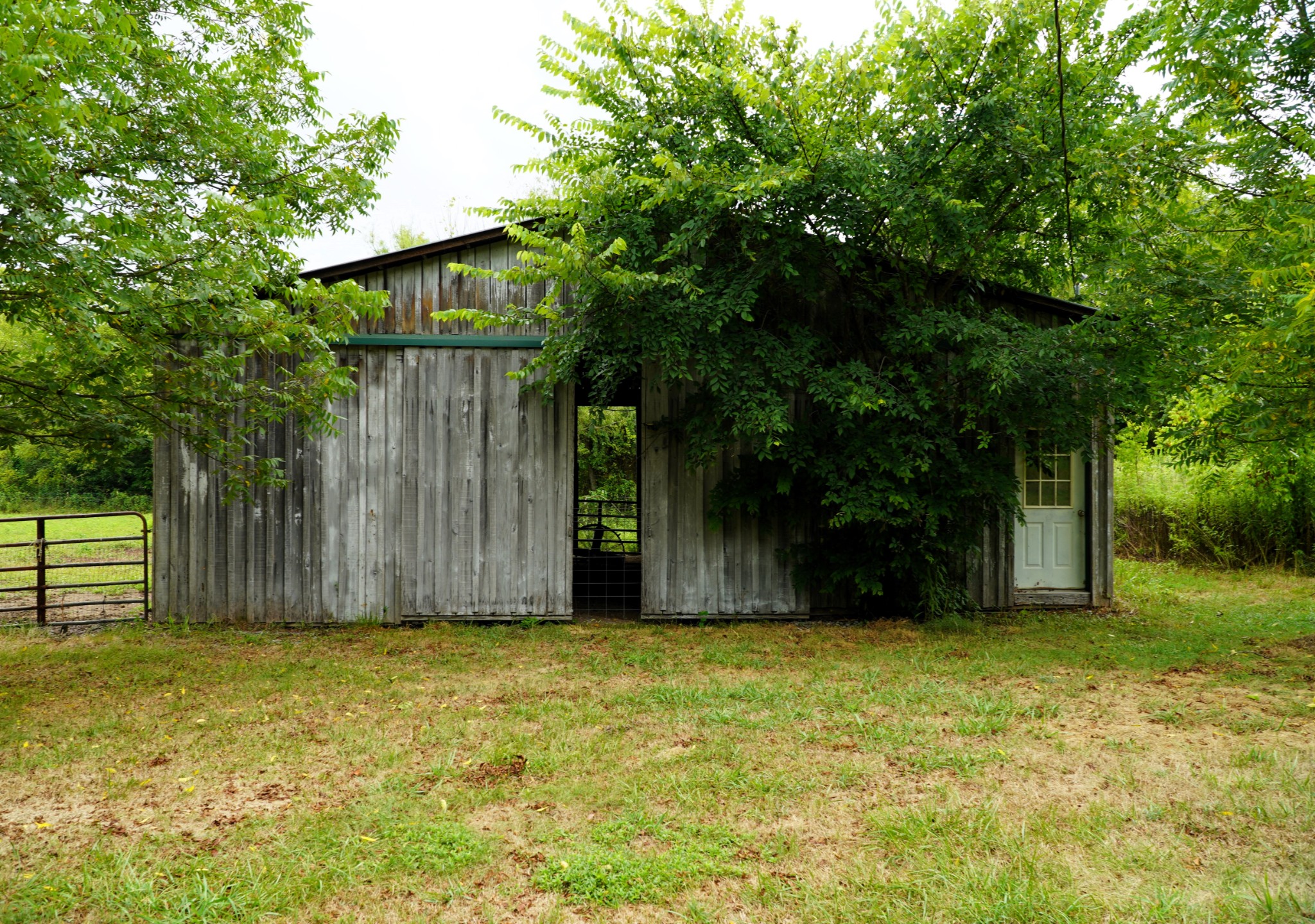 237 Red Oak Road Petersburg, TN 37144 - Photo 41 of 57 a view of a house with a yard