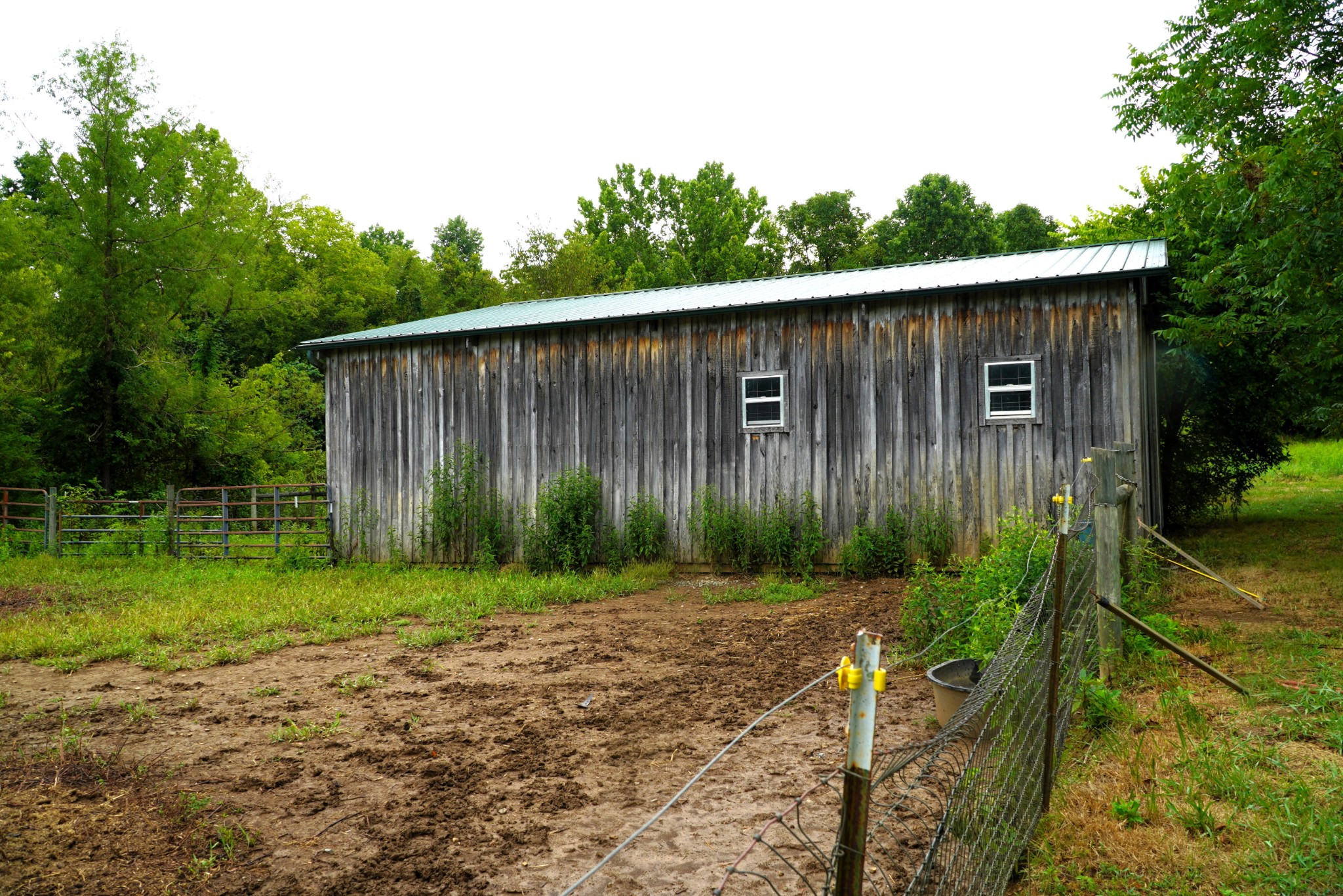 237 Red Oak Road Petersburg, TN 37144 - Photo 42 of 57 a backyard of a house with lots of green space