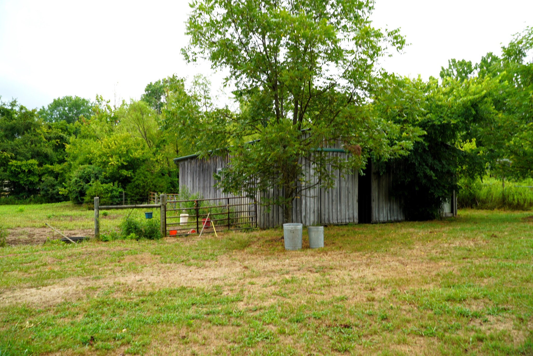 237 Red Oak Road Petersburg, TN 37144 - Photo 43 of 57