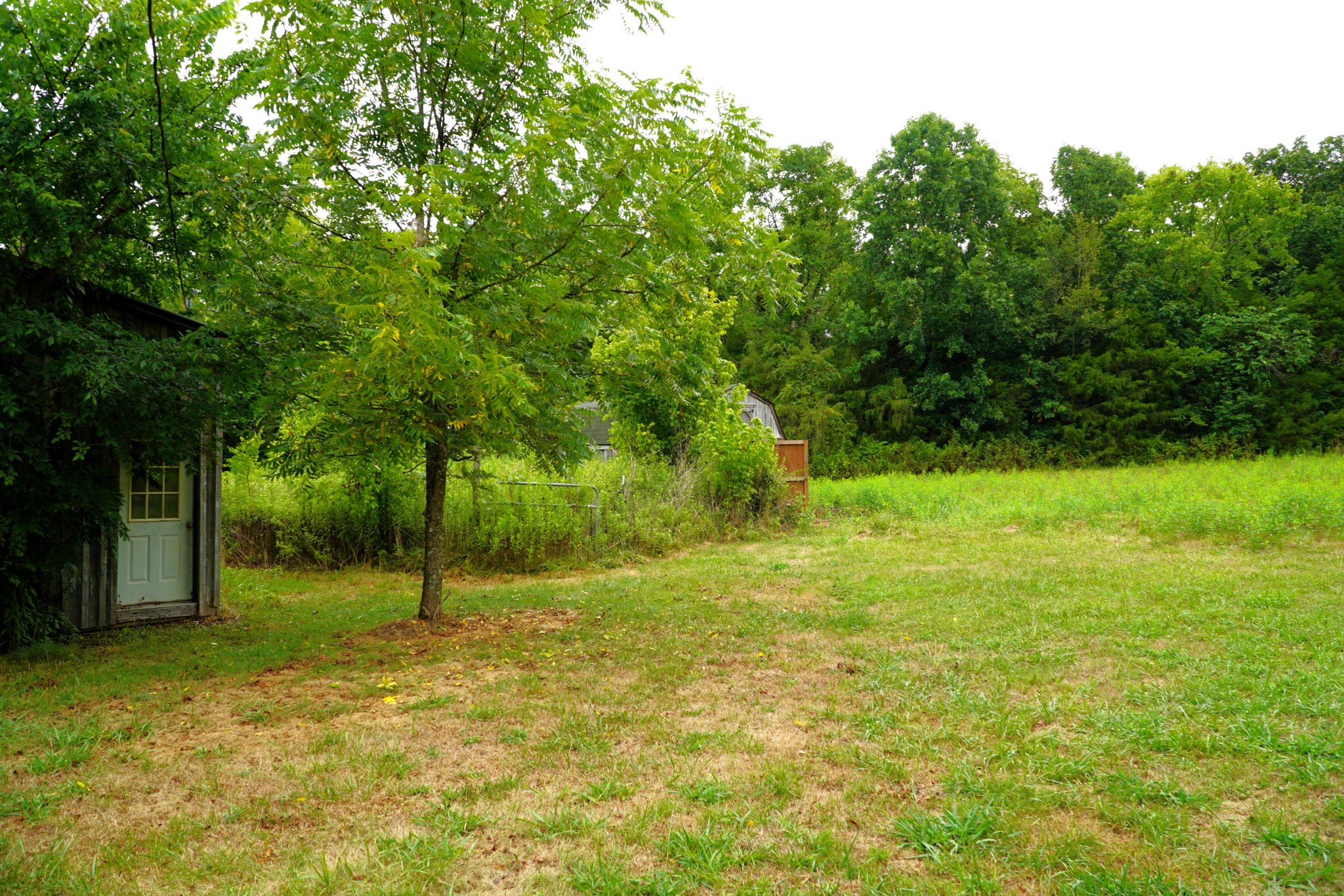 237 Red Oak Road Petersburg, TN 37144 - Photo 45 of 57