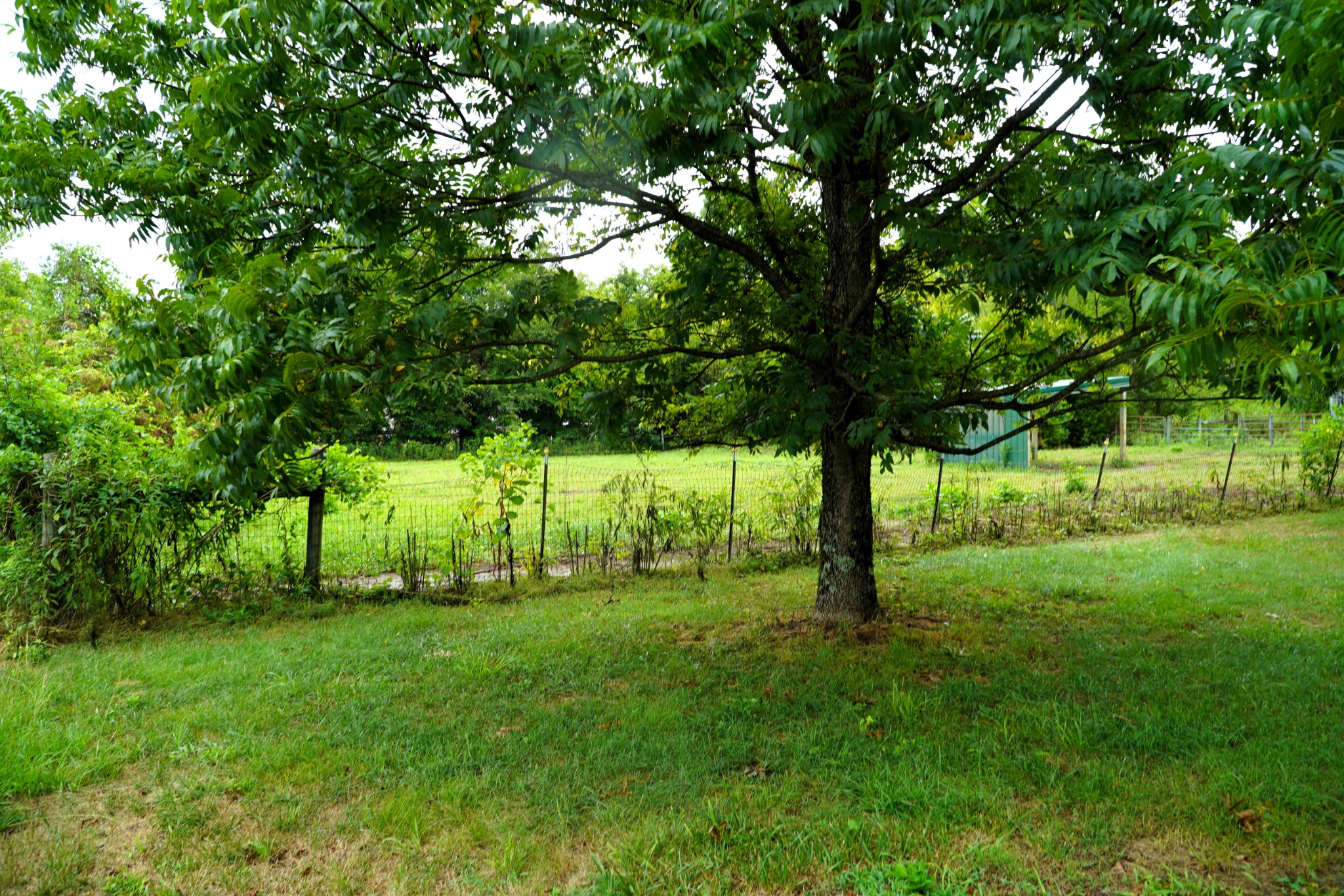 237 Red Oak Road Petersburg, TN 37144 - Photo 53 of 57