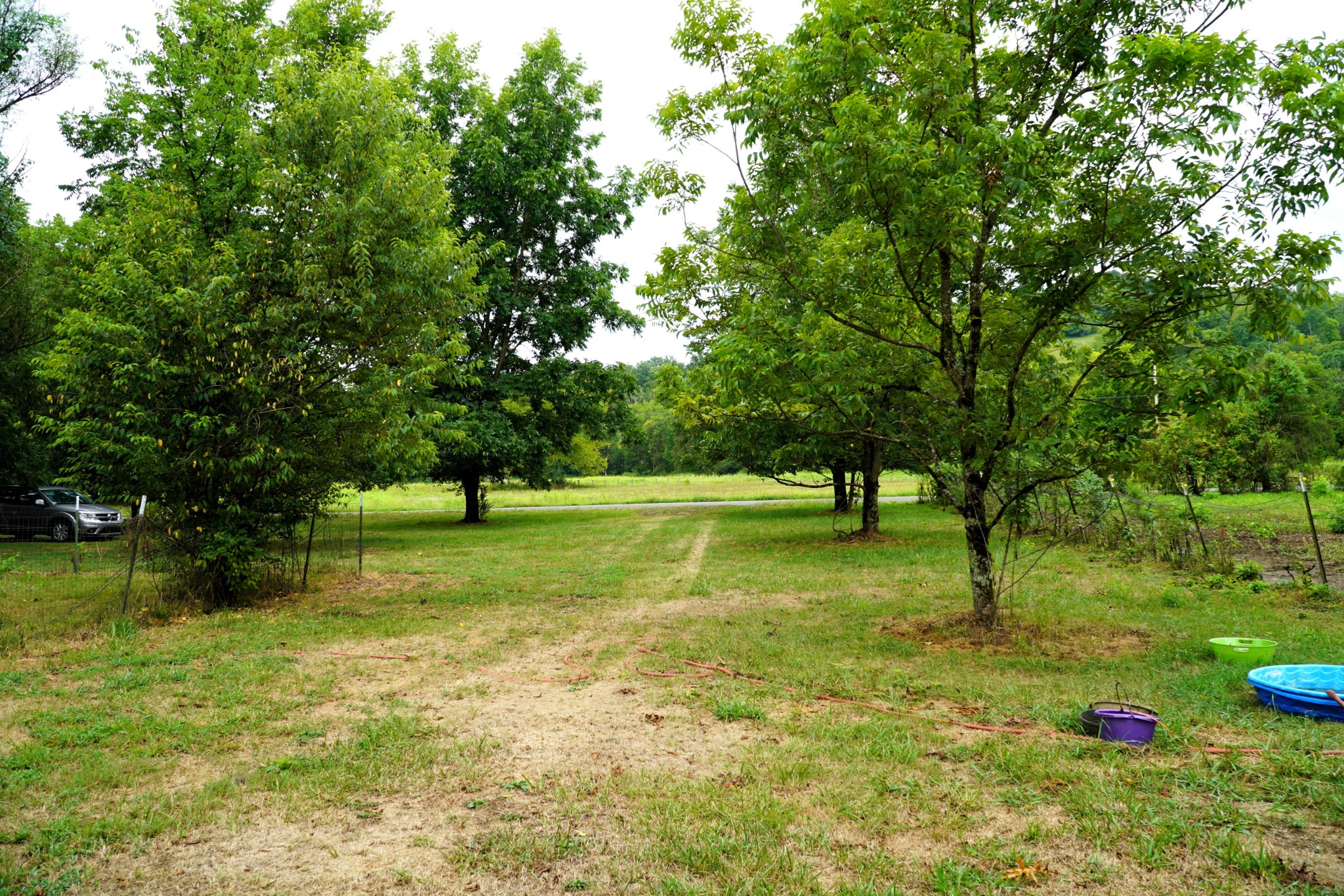 237 Red Oak Road Petersburg, TN 37144 - Photo 54 of 57 a view of a tree in a park