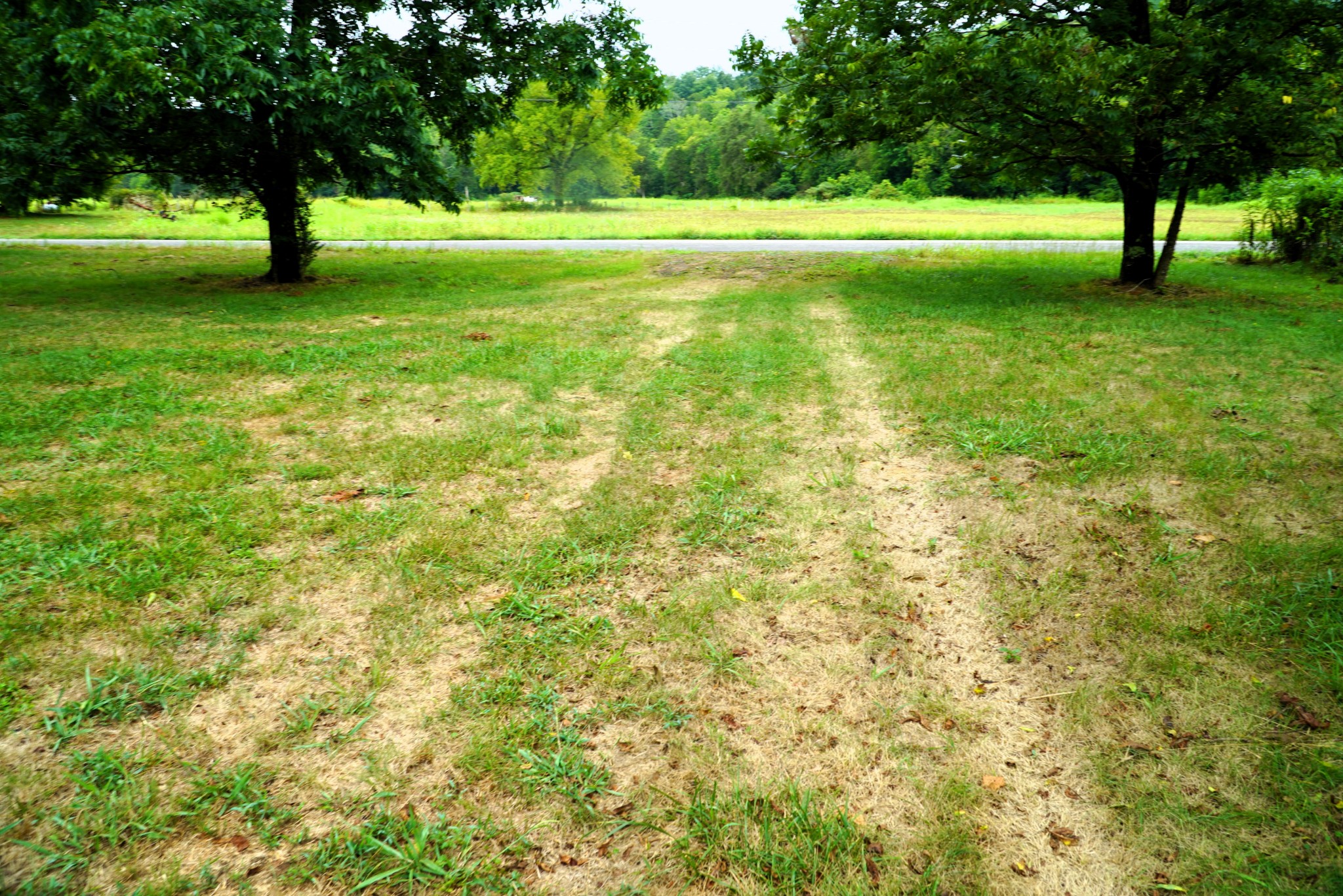 237 Red Oak Road Petersburg, TN 37144 - Photo 55 of 57 a view of field with trees in the background