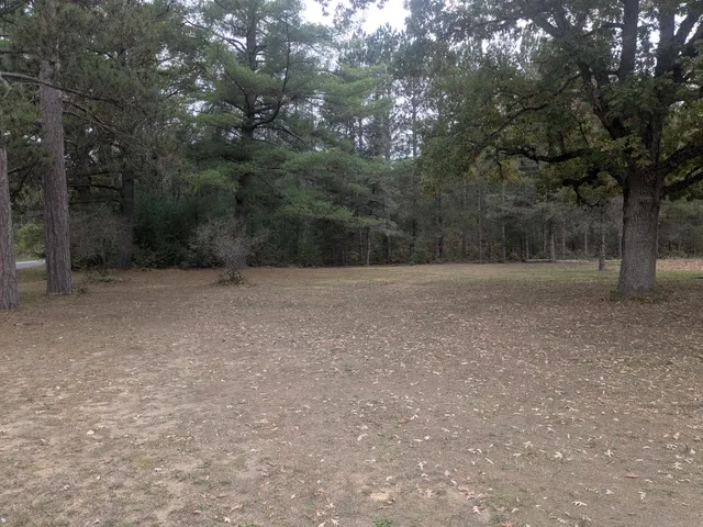 $79,900 | 13798 Graf Road, Brethren, MI 49619