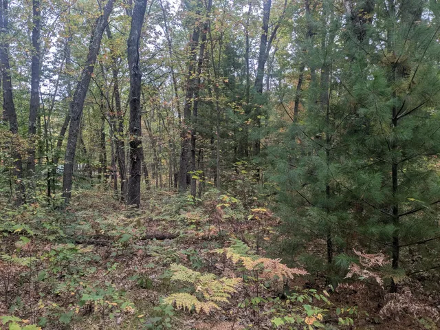 $79,900 | 13798 Graf Road, Brethren, MI 49619