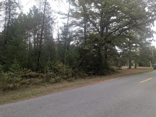 $79,900 | 13798 Graf Road, Brethren, MI 49619