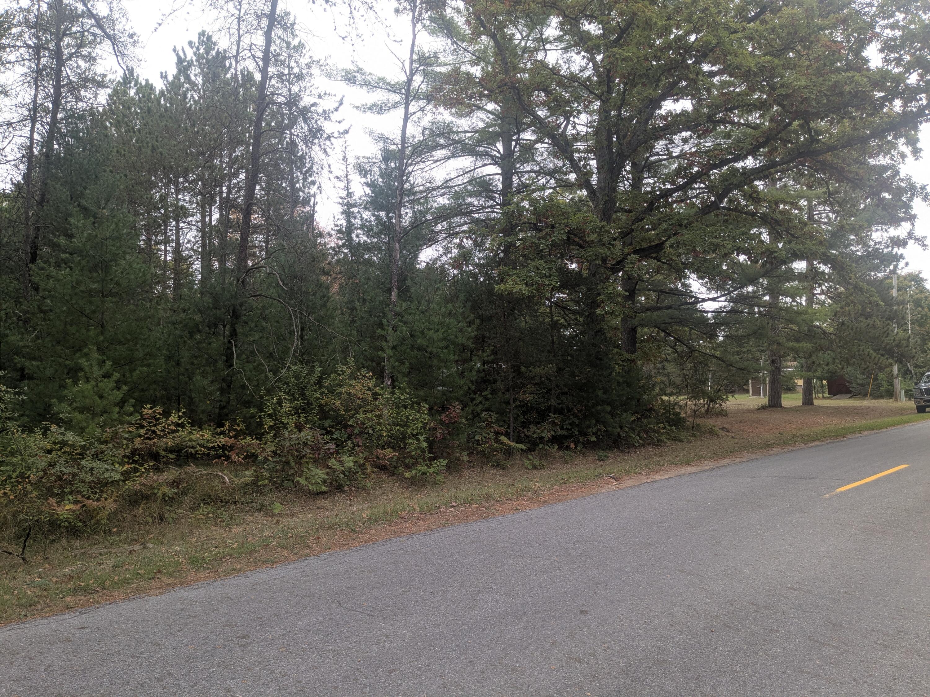 13798 Graf Road Brethren, MI 49619 - Photo 5 of 13 easy access off paved street