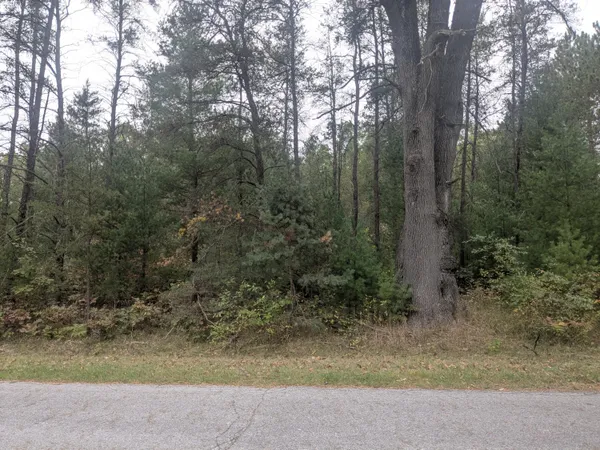 $79,900 | 13798 Graf Road, Brethren, MI 49619