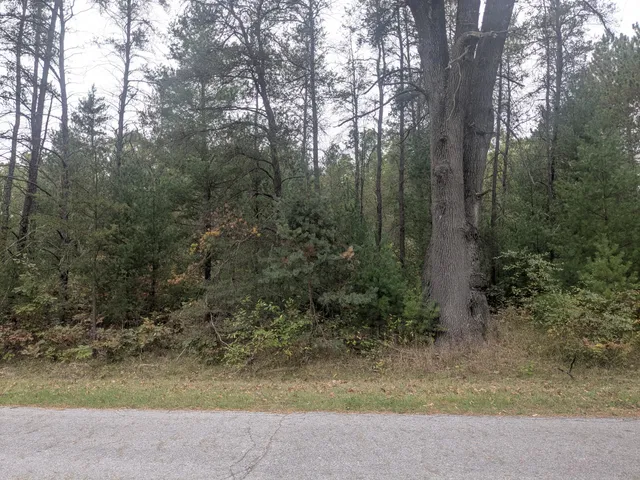 $79,900 | 13798 Graf Road, Brethren, MI 49619