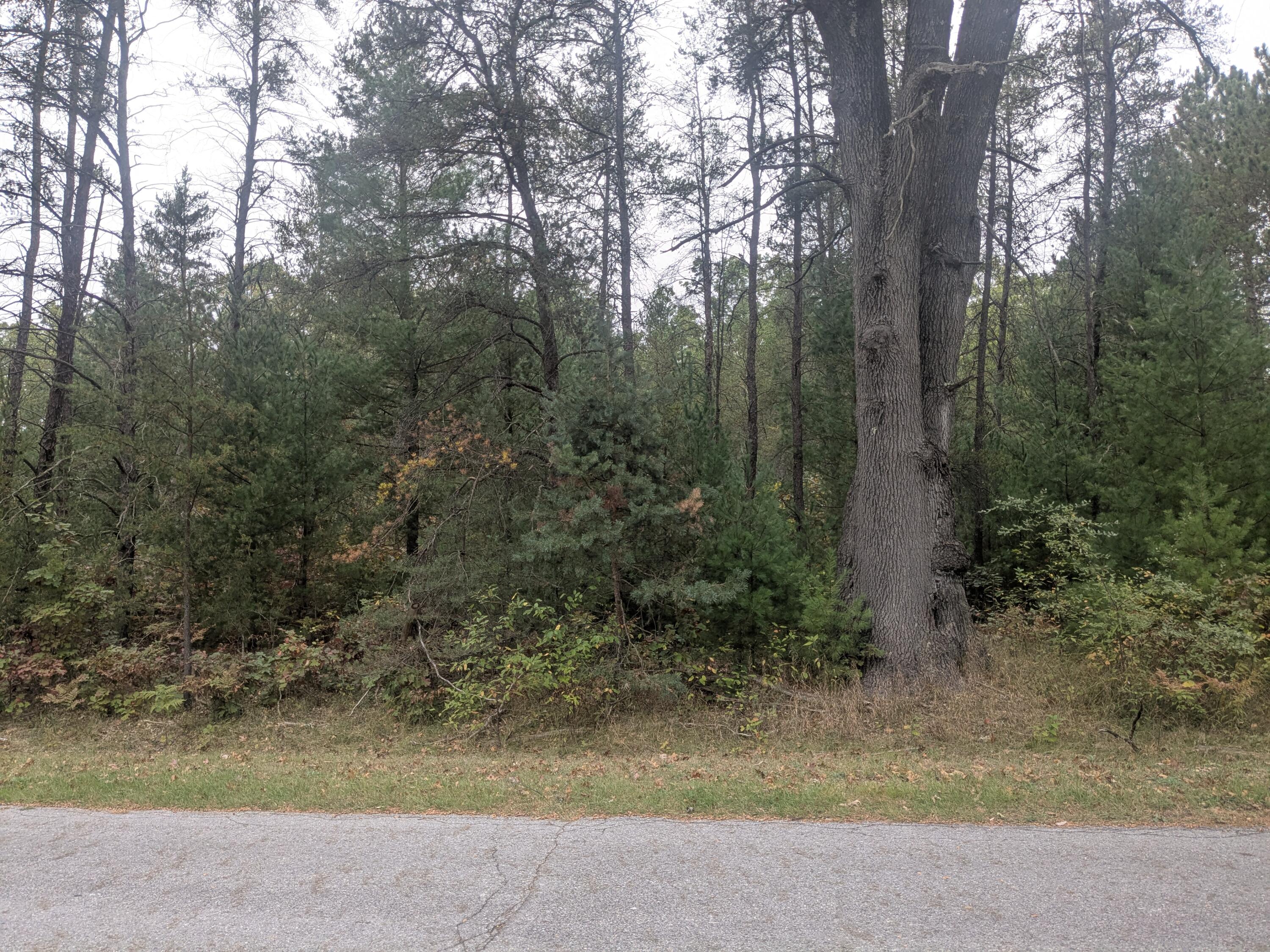 13798 Graf Road Brethren, MI 49619 - Photo 6 of 13 nicely wooded