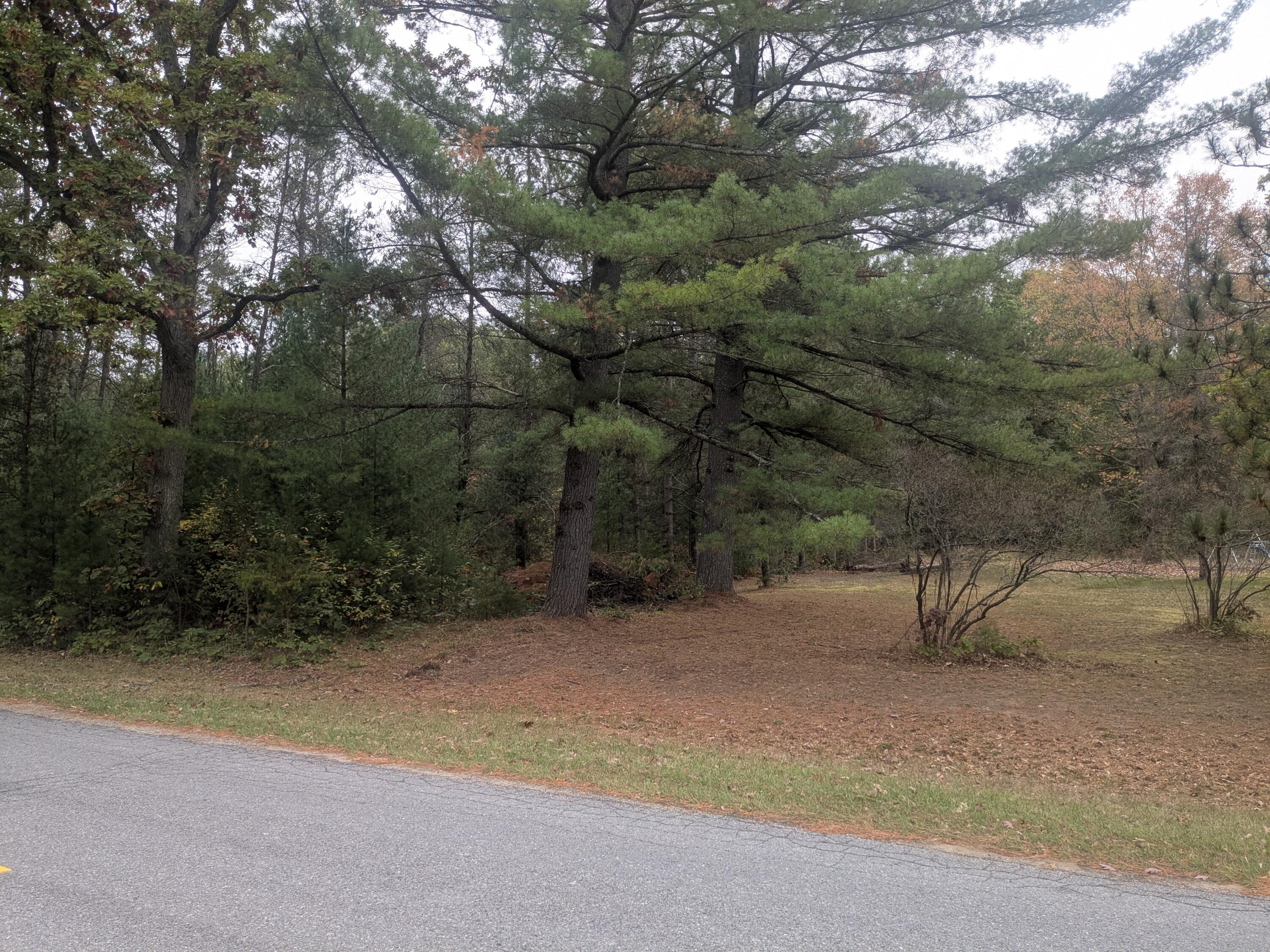 13798 Graf Road Brethren, MI 49619 - Photo 7 of 13 beautiful older pines